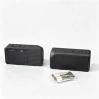 Mini haut-parleur portable OEM ODM V5.4 avec batterie amovible, conforme aux réglementations européennes sur les batteries, personnalisation de la marque