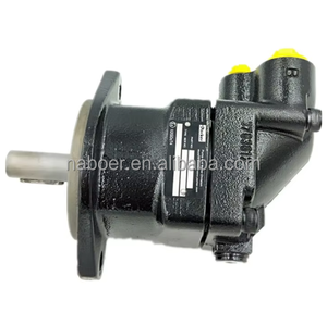 Moteur à piston à déplacement fixe à axe coudé 3782830 F11-005-LB-CN-K-000-000-00 - Product Image 5