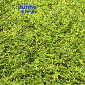 中国製ローストIQF冷凍塩漬け海藻スライス-100個入りワカメクリスピドライ寿司ノリ - Product Image 3