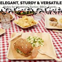 Assiettes porte-taco biodégradables imprimées sur mesure festives de haute qualité écologiques pour les fêtes à thème
