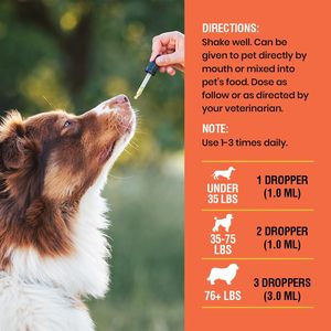 Vitamine <span class=keywords><strong>C</strong></span> liquide OEM/ODM pour chiens - Complément alimentaire pour renforcer le système immunitaire et soutenir les antioxydants - Product Image 4