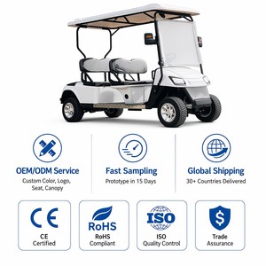 Voiturette de golf Tarion Street 4 places, moteur 3,5 kW, autonomie 90 km+, vitesse maximale 30-50 km/h, vente en gros directe d'usine, équipée d'un moteur 4.0 - Product Image 2