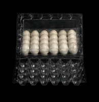 Barquette à œufs de caille en plastique PET transparente à 18, 24, 30 alvéoles, boîte à œufs jetable à 6, 12, 20 cellules, barquette d'emballage pour œufs de caille