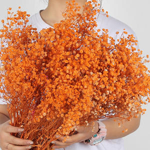 زهور الجبسوفيلا المجففة والمحفوظة للبيع بالجملة - ديكور رومانسي لحفلات الزفاف وعيد الحب والكريسماس - Product Image 6