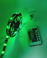 Bande LED RGB 5050 DC 5V en cuivre, découpable, PCB noir avec télécommande, alimentation USB, indice IP65, pour rétroéclairage TV et décoration intérieure