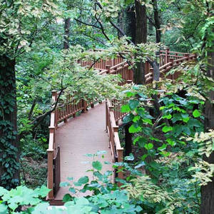 Lan Can Cầu Thang Bảo Dưỡng Thấp WPC Lan Can Và Lan Can Bằng Nhựa Tổng Hợp Ngoài Trời Lan Can Ban Công - Product Image 6