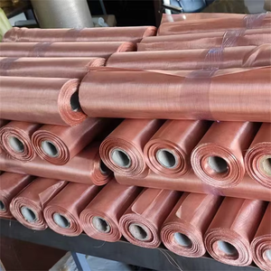 H62 H65 황동 인청동 구리 직조 와이어 메쉬 필터 천 고품질 용접 서비스 - Product Image 6