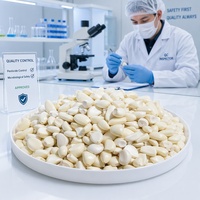 Ail en gousses pelées congelées Halal de qualité supérieure en vrac |   Ail frais IQF 100% naturel en gros