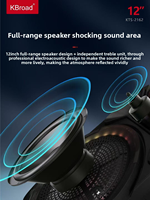 Microphone USB Alimenté par USB pour la Maison, le Camping, le Karaoké, l'Audio en Direct, le KTV, le Téléphone Portable, Haut-parleur Bluetooth Portable