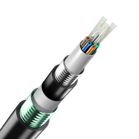 GYTA53 CABLE Doble escudo armadura de acero 4 6 8 12 16 24 32 36 48 72 96 144 de 192 a 216 núcleo de modo único CABLE de fibra óptica