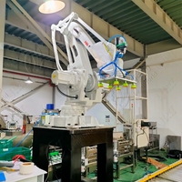 Machine de conditionnement de palettiseur robotique Offre Spéciale automatique de sac/carton/boîte/cas avec empileur de Robot de palettiseur de Robot