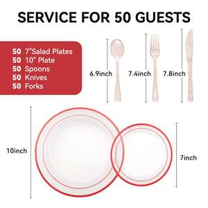 Kit práctico de artículos desechables para fiestas, juego de vajilla de plástico con cubiertos y cucharas para uso en exteriores. - Product Image 3
