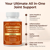 Cápsulas Veganas de Glucosamina, Condroitina, Sulfato de Cúrcuma y MSM de Marca Privada, Suplemento para el Soporte de la Comodidad y Movilidad del Cartílago y las Articulaciones