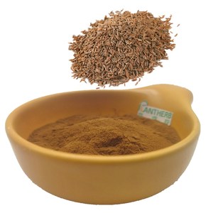 Extrait de <span class=keywords><strong>Carvi</strong></span> 100% Naturel de Haute Qualité <span class=keywords><strong>en</strong></span> <span class=keywords><strong>Poudre</strong></span>, Extrait Végétal Pur <span class=keywords><strong>en</strong></span> Vrac, Extrait de Graines de <span class=keywords><strong>Carvi</strong></span> <span class=keywords><strong>en</strong></span> <span class=keywords><strong>Poudre</strong></span> 10:1, Prix 1kg - Product Image 2