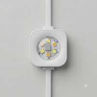 Lumières d'extérieur permanentes en plastique RGBWWIC Pro 50FT IP67 résistantes au gel, synchronisation musicale via application intelligente, intensité réglable, garantie 3 ans