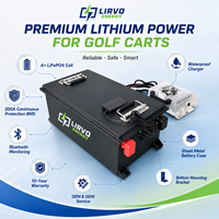 Baterai LiFePo4 51.2V 60V 72V 100Ah 150Ah 200Ah Arus Pengosongan Tinggi BT BMS Garansi 10 Tahun Daya Tahan 6000 Siklus untuk Club EZGO