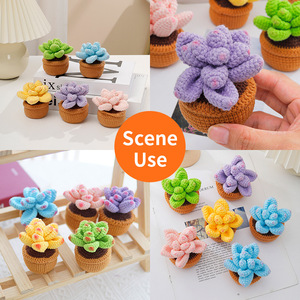 Kit de plantes succulentes en pot au crochet LINDOJUNI DIY, ornement en fil fait main avec vidéo tutorielle en <span class=keywords><strong>anglais</strong></span> - Product Image 3