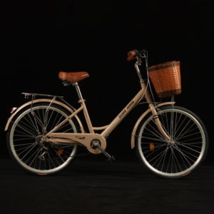 <span class=keywords><strong>Bicicleta</strong></span> <span class=keywords><strong>Urbana</strong></span> Económica de 24 Pulgadas con Cuadro de Acero de Alto Carbono de Una Sola Velocidad para <span class=keywords><strong>Mujer</strong></span> - Product Image 6