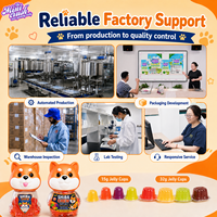 Vente en gros de bonbons gélifiés Shiba en vrac, saveur fruitée, en forme de chien, dans un pot en plastique