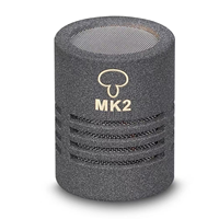 Microphone à condensateur à petit diaphragme ME310, micro-crayon cardioïde avec pad -20 dB et coupure basse de 160 Hz pour l'enregistrement en studio