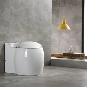 Lubang Outlet S-trap 250Mm Toilet Arab Cuci Gudang Kamar Mandi Harian Menggunakan Induksi Flush Toilet