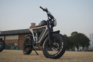 จักรยานไฮบริดไฟฟ้าซุปเปอร์วินเทจ,ใหม่ปี2023ยางล้อรถ20นิ้ว<span class=keywords><strong>1000W</strong></span> Ebike 48V 30AH - Product Image 6