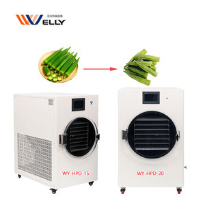 Máquina de Liofilización de Fácil Operación para Productos Liofilizados de Okra, Berenjena y Champiñones - Product Image 1