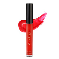 Produit populaire Marque privée Brillant à lèvres de haute qualité Offre Spéciale Rouge à lèvres liquide sans cruauté Plusieurs couleurs Brillant à lèvres végétalien à faible quantité minimale de commande