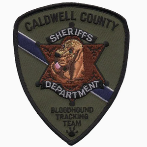 グリーンウルフヘッド刺繍パッチアイアンオンフェルト生地ビーズ-Bordado-刺繍-アメリカンアパレル用キット - Product Image 3