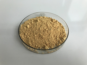 Fábrica preço competitivo 10% kaempferol pó kaempferol - Product Image 6