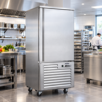 Congélateur rapide commercial 10 plateaux, capacité 250L, congélation profonde -45°C, conception à refroidissement par air, programme de réfrigération personnalisé, magnétique