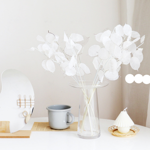 Été Flora En Gros décoratif fleurs naturelles préservées lunaria pour la décoration intérieure - Product Image 6