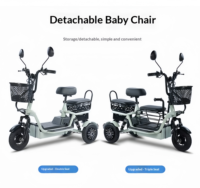 Triciclo Eléctrico de 3 Ruedas para Adultos, 3 Velocidades, Mini Scooter Eléctrico de 10 Pulgadas, Batería de Plomo-Ácido para Desplazamientos Urbanos, Uso con Mascotas y Pasajeros