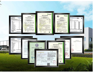 Ganoderma Lucidum Reishi, café <span class=keywords><strong>capuchino</strong></span> con forma de seta, muestras gratis - Product Image 5