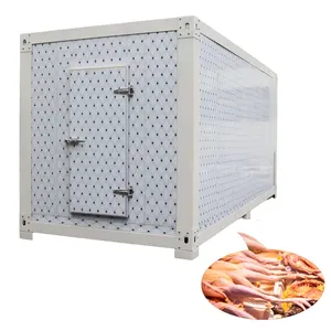 Copeland compressore cella frigorifera 100/150mm spessore pannello unità di refrigerazione carne congelata cella frigorifera