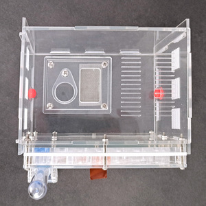 Ant Kingdom Palace Villa Castle Rectangular Eco Box Ant Village Pet Ant Tribe Home Acrylic Nest Ant Warehouse - Product Image 3