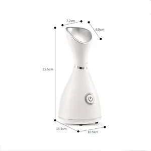 steaming face instrument facial steamer professional supplier Ionic mist beauty, products