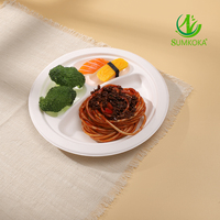 SUMKOKA Vaisselle populaire en fibre de canne à sucre Bagasse Assiettes alimentaires biodégradables et jetables en bagasse de canne à sucre