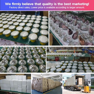 Bóng Đèn Led Thay Thế Cho Bể Bơi Astral Par56 Bằng Thủy Tinh 12V Đèn Hồ Bơi Led Rgb Par56 - Product Image 3