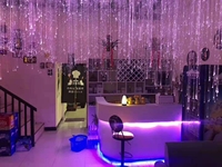 Cable de Fibra Óptica de Aluminio de 0.75mm, 900 Piezas, 3m de Largo, con Iluminación en el Extremo, con Clasificación IP67 para Decoración de Festivales al Aire Libre