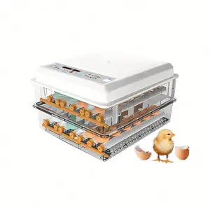 Incubadora termostática para aves de corral, Incubadora automática pequeña de 12 huevos de foll