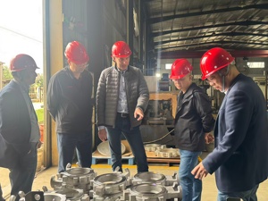 Pompa Centrifuga Elettrica ad Alta Pressione Boleda Fujian Nanping, Antiacido, a Zero Perdite, in Acciaio Inossidabile, Certificata ISO9001 - Product Image 5