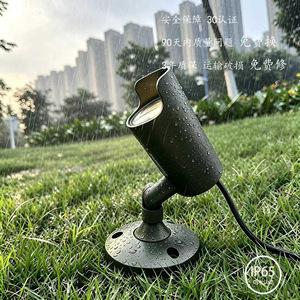 Projecteur d'extérieur étanche réglable pour arbres, éclairage paysager au sol, 24V 12W - Product Image 3