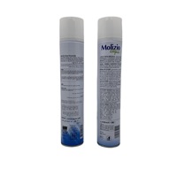 Produits coiffants personnalisés avec logo d'usine, spray coiffant à étiquette privée, spray coiffant pour hommes OEM ODM, spray coiffant à tenue forte pour salon