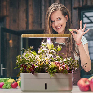 <span class=keywords><strong>Culture</strong></span> hydroponique sans sol fleur de légume de bureau élèvent des lumières spectre complet pour les plantes de panier aquaponique <span class=keywords><strong>LED</strong></span> pour une floraison optimale - Product Image 2