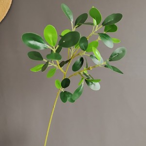 สเปรย์ <span class=keywords><strong>Ficus</strong></span> สีเขียวมันวาวเทียมใบใบ <span class=keywords><strong>Ficus</strong></span> สีเขียวแบบเต็มตัว - Product Image 1