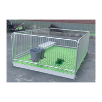 Cages pour animaux d'élevage et de reproduction, taille personnalisable, état neuf, pour agneaux et chèvres jeunes.