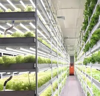 Système d'agriculture verticale hydroponique Smart Farm Grow, conteneur maritime de 40 pieds, serre pour plantes médicinales, herbes, laitue