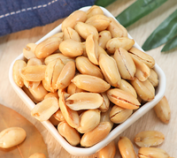 Puaskan Hasrat Pedas Anda dengan Camilan Biji Kacang Pedas Lezat Kami