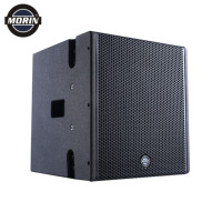 Modul Subwoofer 3 Saluran Kelas D Morin Line Array COX-12B DSP Kayu Tahan Air 12 inci Tegangan Lebar Daya Keluaran 1600W